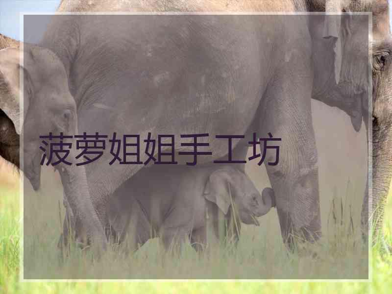 菠萝姐姐手工坊