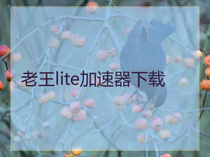 老王lite加速器下载