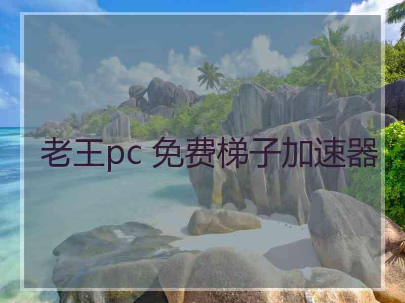 老王pc 免费梯子加速器