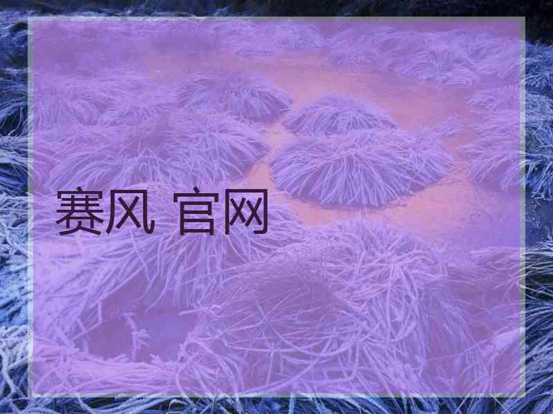 赛风 官网