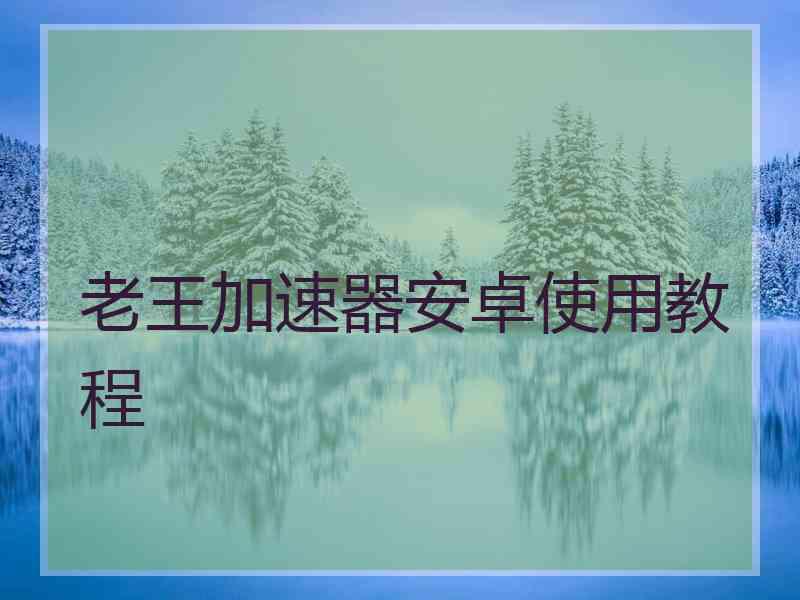 老王加速器安卓使用教程