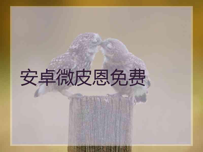 安卓微皮恩免费