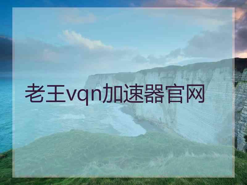 老王vqn加速器官网