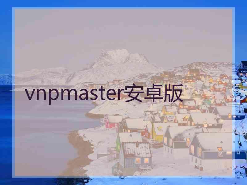 vnpmaster安卓版