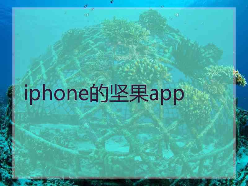 iphone的坚果app
