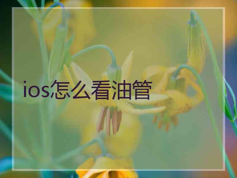 ios怎么看油管