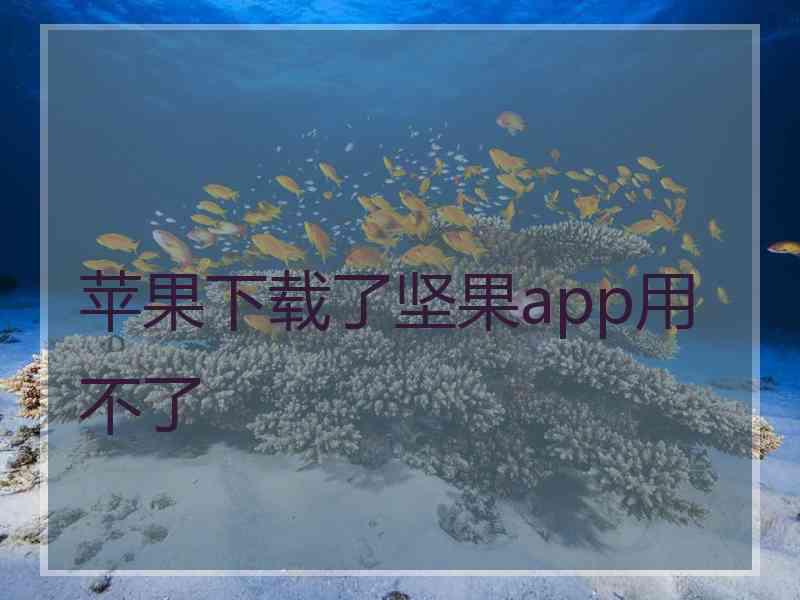 苹果下载了坚果app用不了