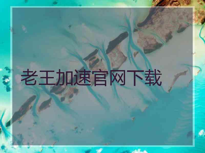 老王加速官网下载