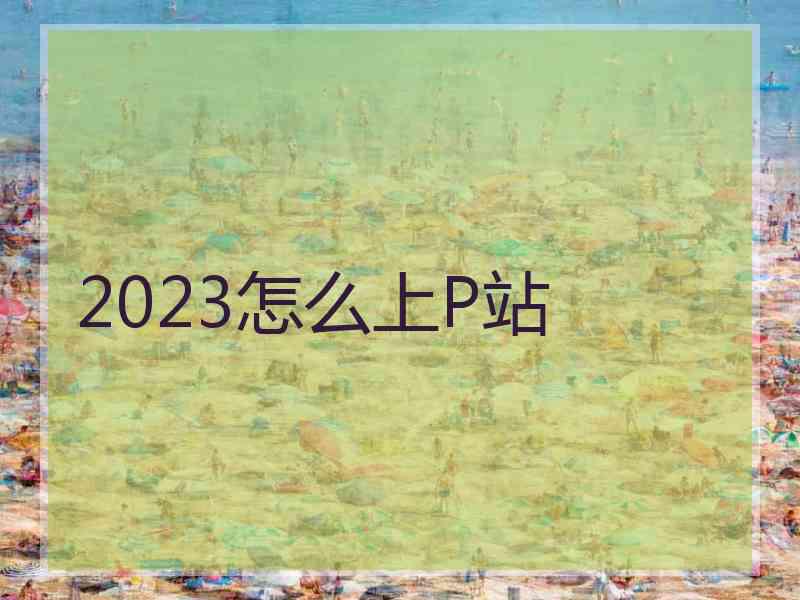 2023怎么上P站