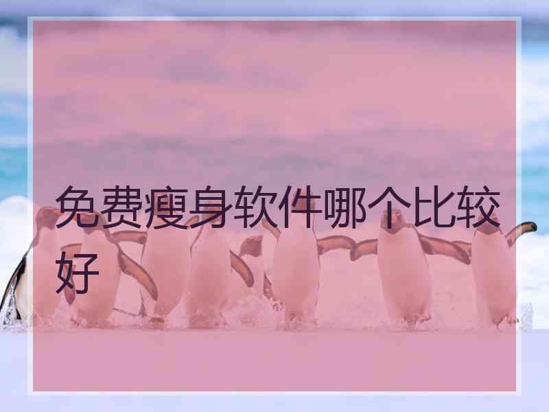 免费瘦身软件哪个比较好