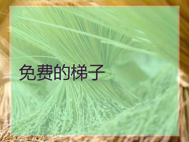 免费的梯子