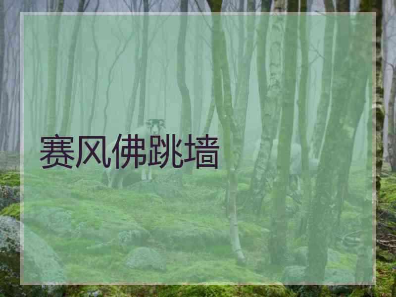 赛风佛跳墙