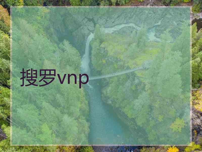 搜罗vnp