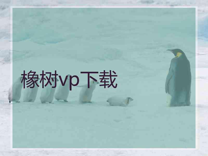橡树vp下载