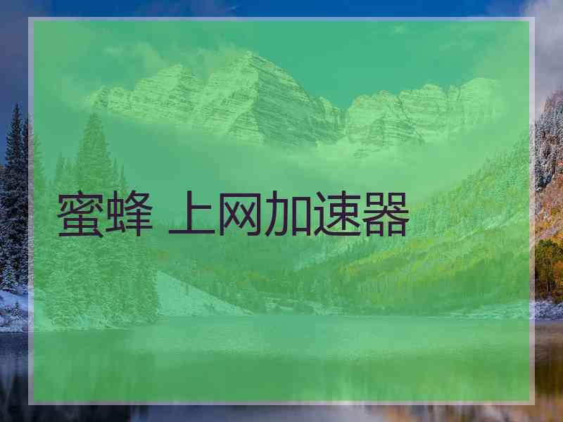 蜜蜂 上网加速器