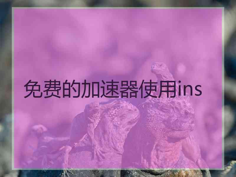免费的加速器使用ins