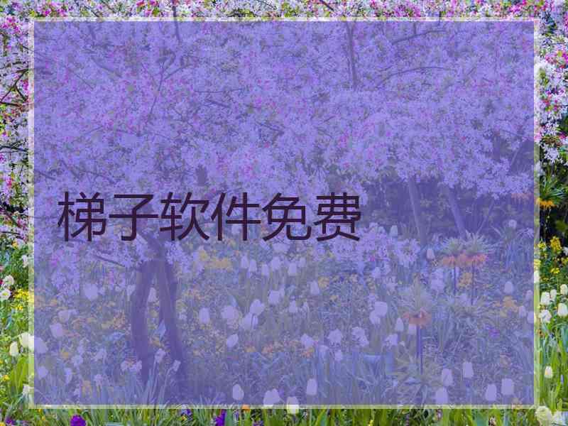 梯子软件免费