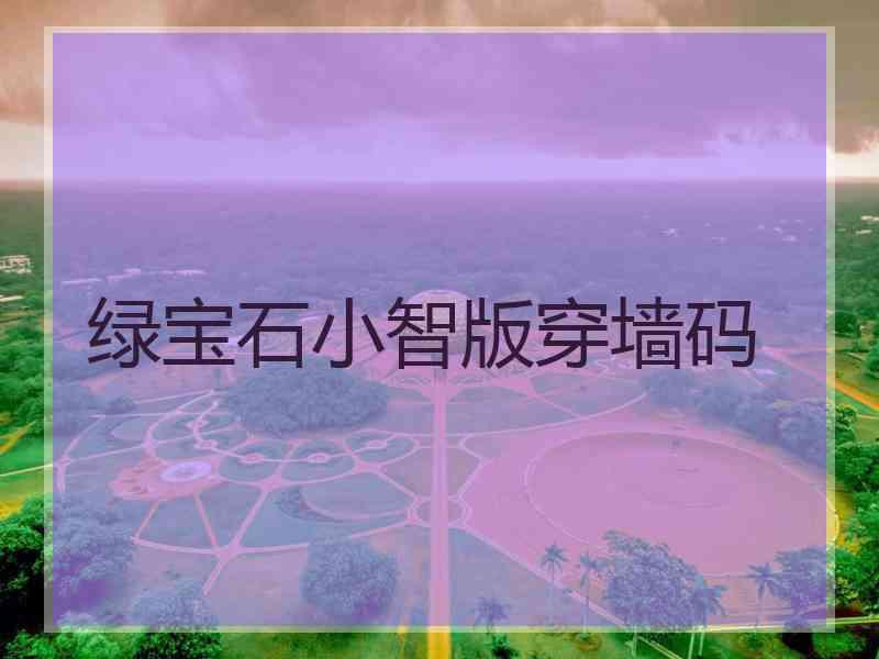 绿宝石小智版穿墙码
