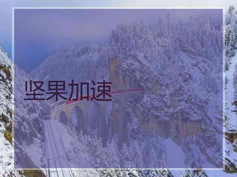 坚果加速