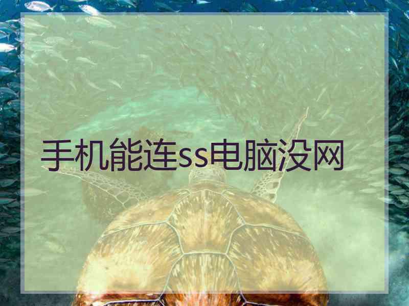 手机能连ss电脑没网
