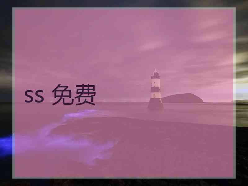 ss 免费