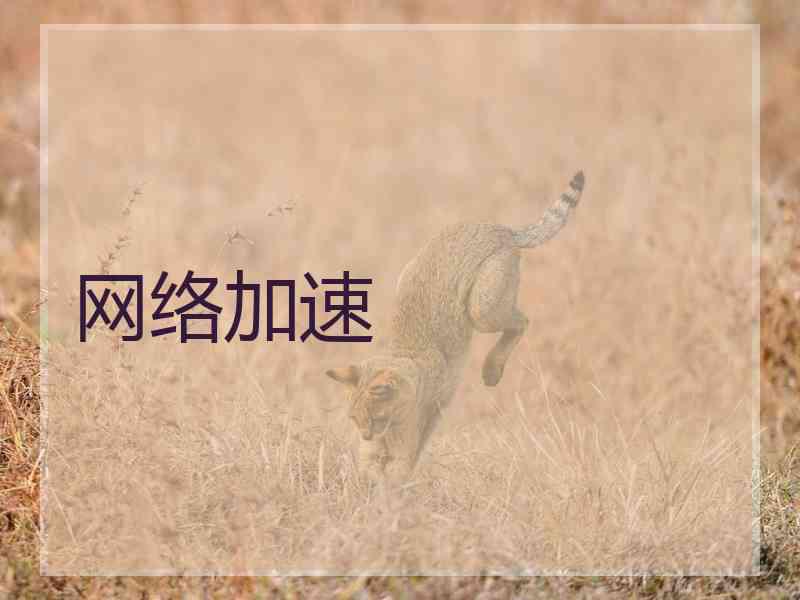 网络加速