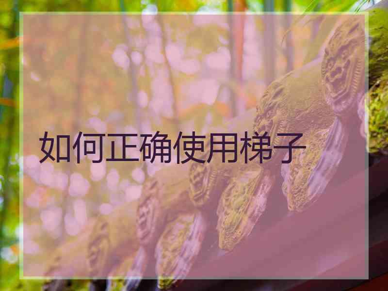 如何正确使用梯子