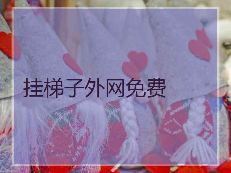 挂梯子外网免费