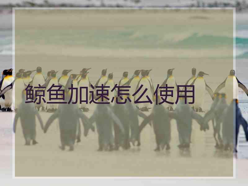 鲸鱼加速怎么使用