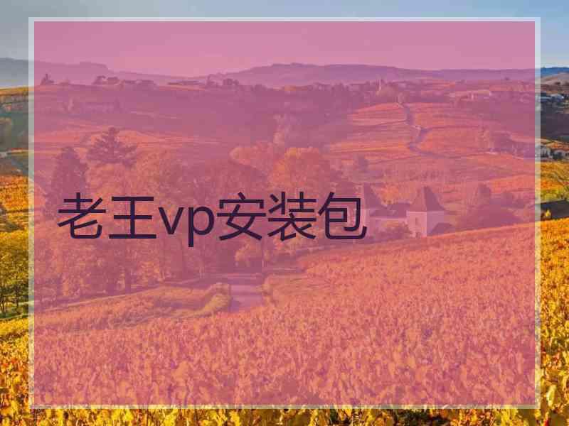 老王vp安装包