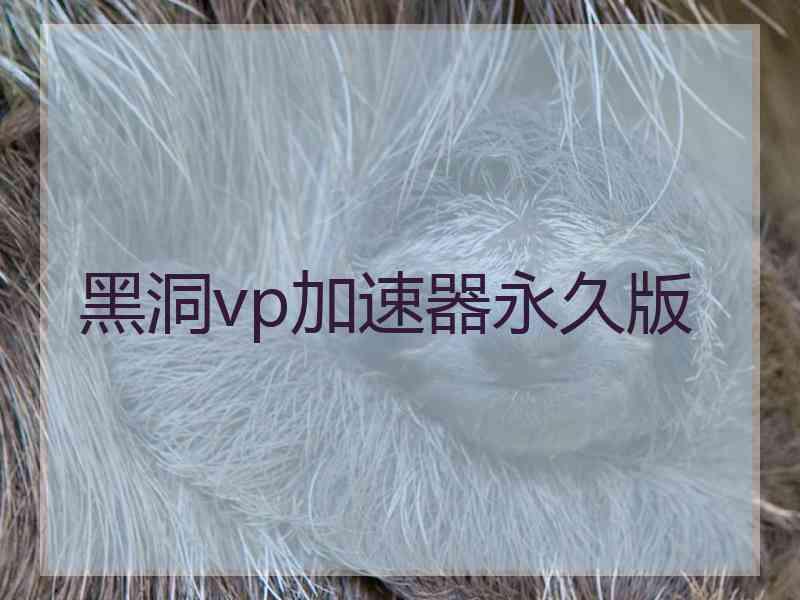 黑洞vp加速器永久版