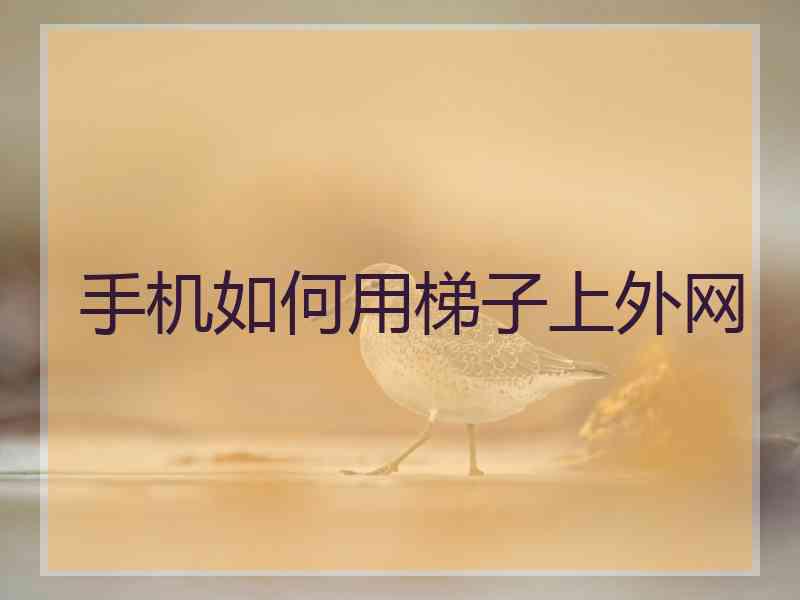 手机如何用梯子上外网