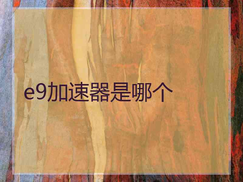 e9加速器是哪个