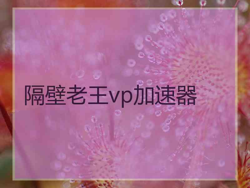 隔壁老王vp加速器