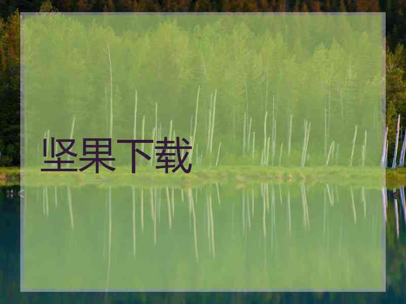 坚果下载