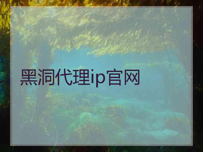 黑洞代理ip官网