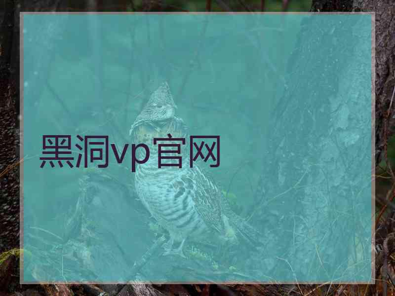 黑洞vp官网