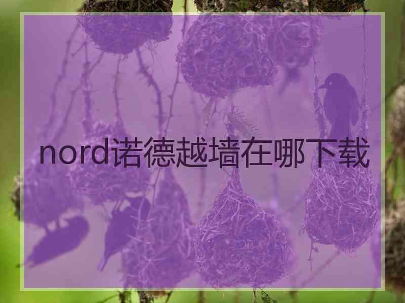 nord诺德越墙在哪下载