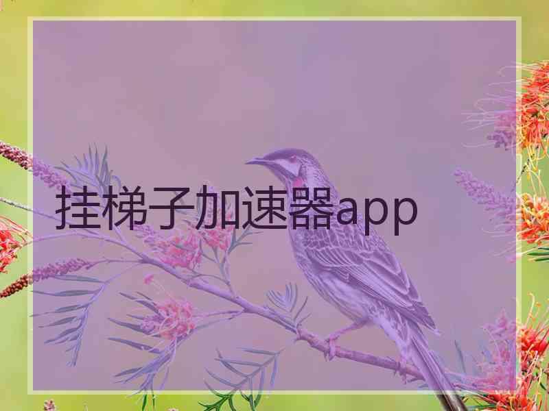 挂梯子加速器app