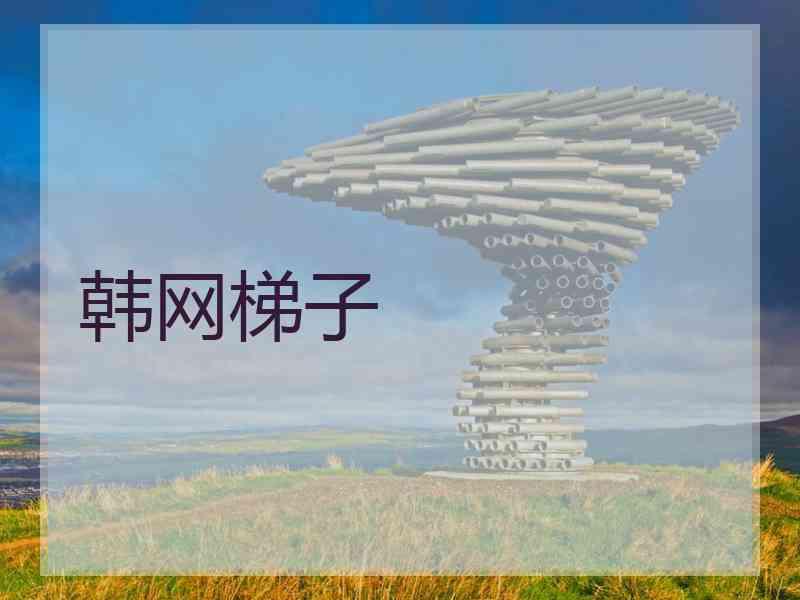 韩网梯子