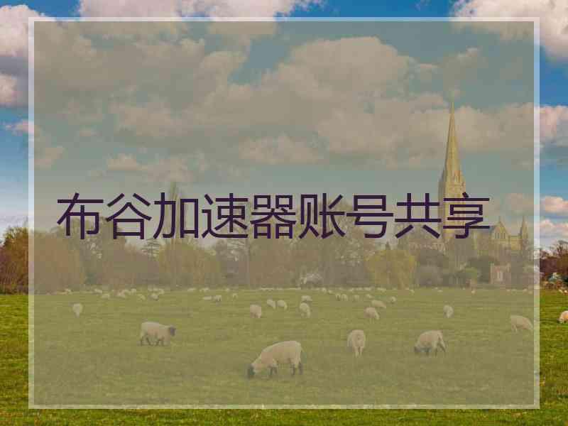 布谷加速器账号共享