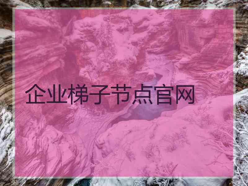 企业梯子节点官网
