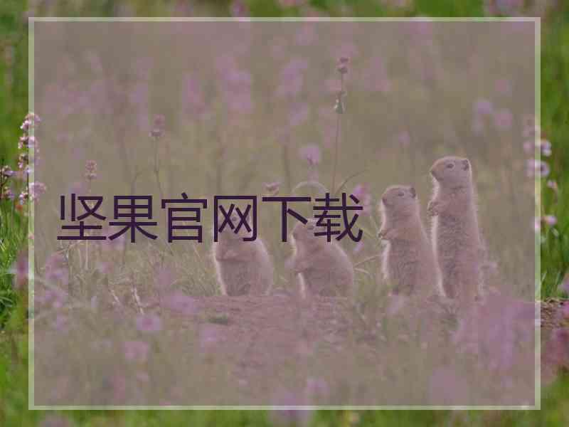 坚果官网下载