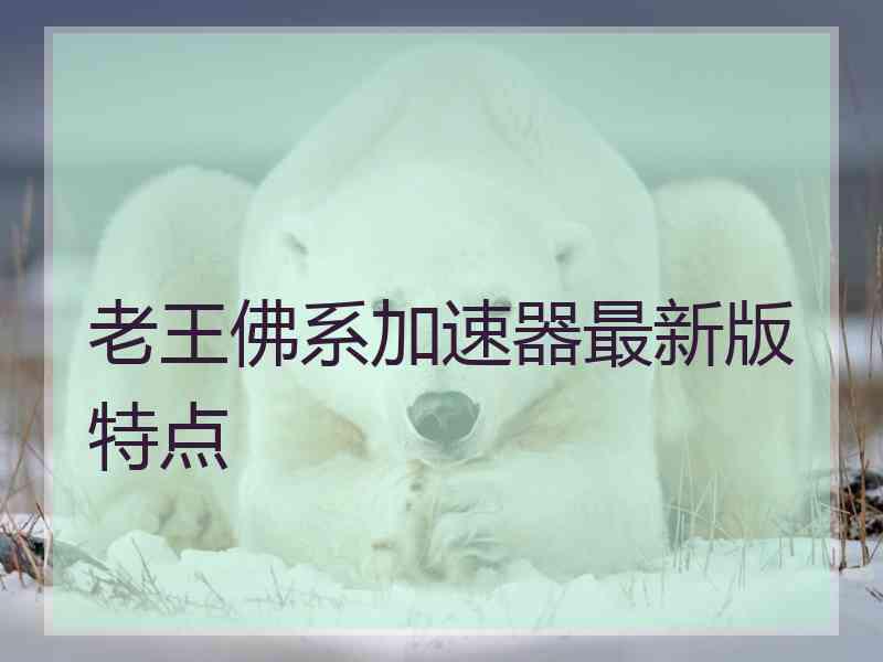 老王佛系加速器最新版特点