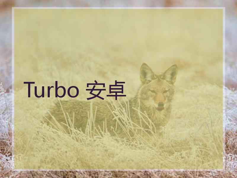 Turbo 安卓