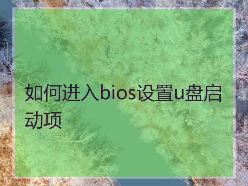 如何进入bios设置u盘启动项
