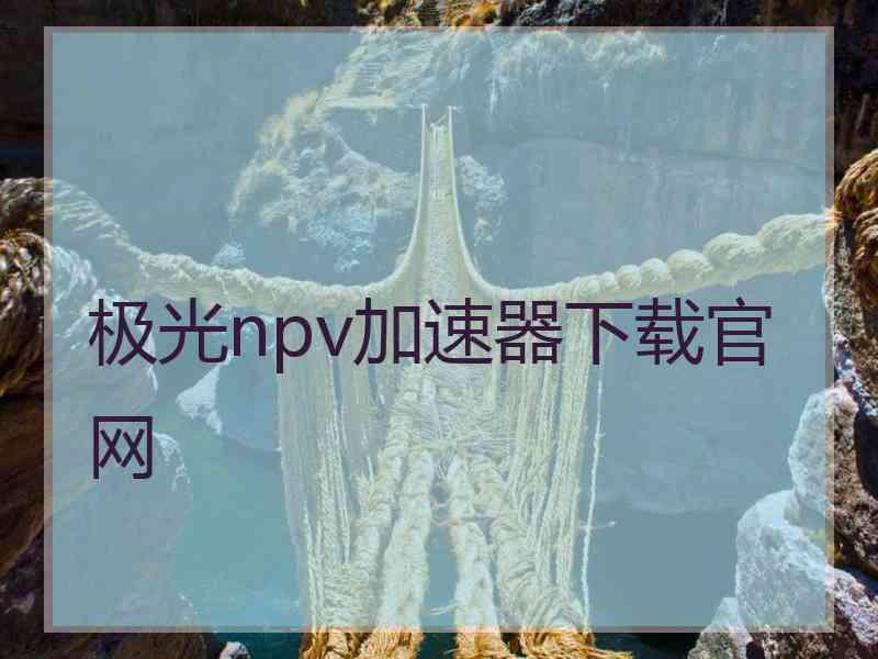 极光npv加速器下载官网