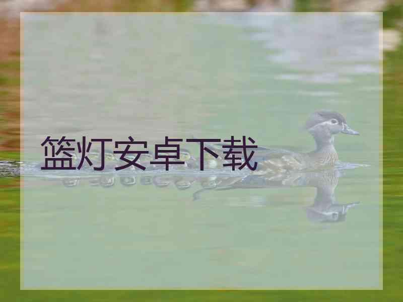 篮灯安卓下载