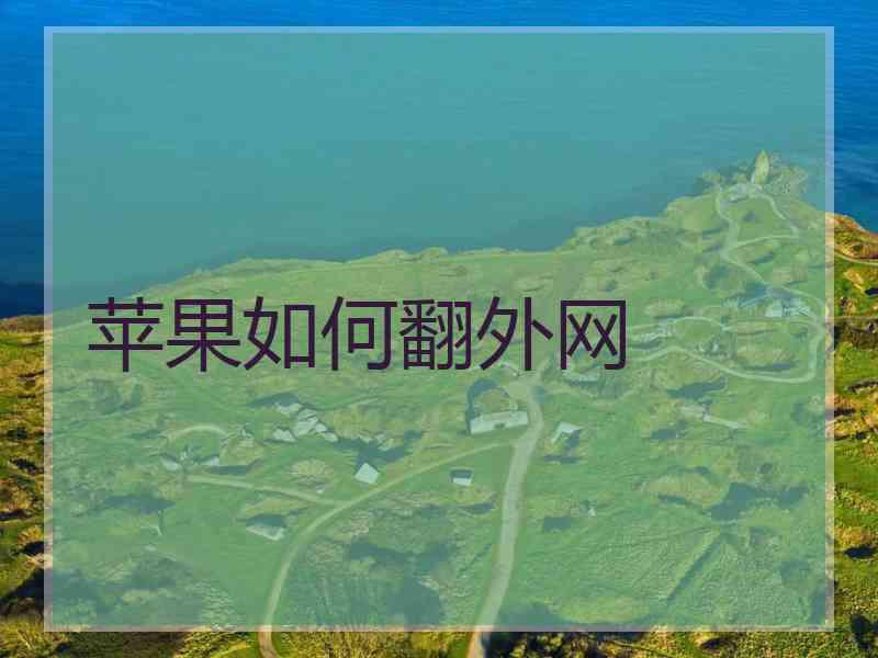 苹果如何翻外网