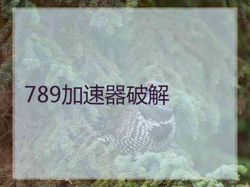 789加速器破解